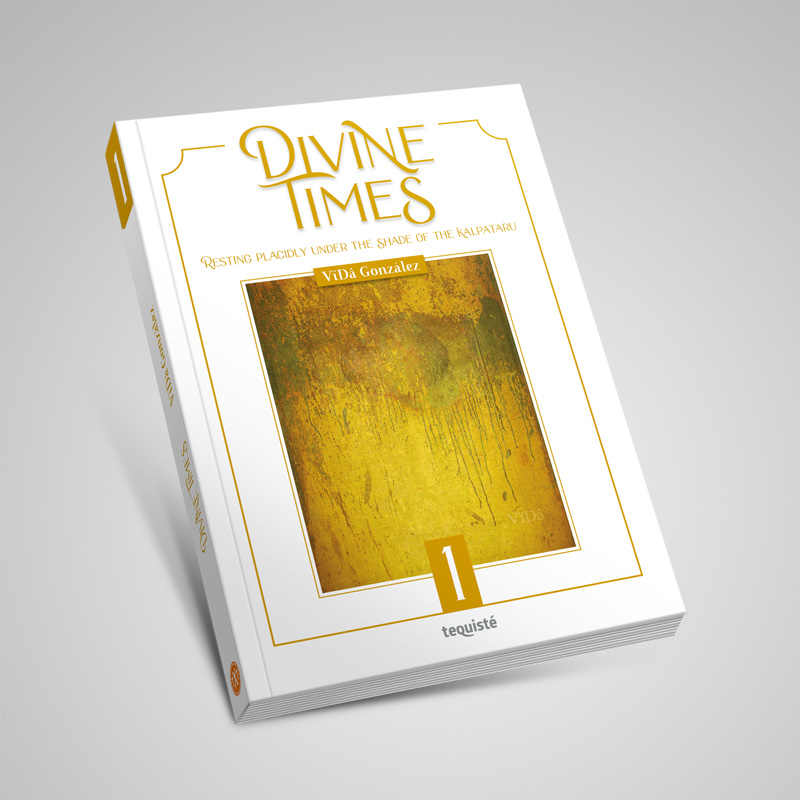 Divine Times book